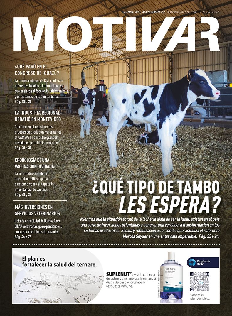 Portada 252.jpg