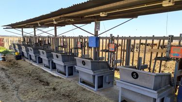 Innovación tecnológica al servicio de la producción ganadera.