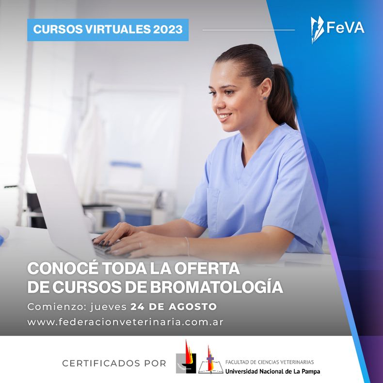 Los cursos virtuales de la FeVA-UNLPam se pueden comprar online en hasta 6 cuotas sin interés.