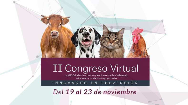 Portada Motivar 100 1.jpg