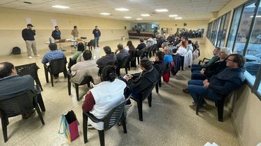 La identificación animal es clave para la trazabilidad y la sanidad del rodeo bovino, un pilar fundamental de la ganadería patagónica.