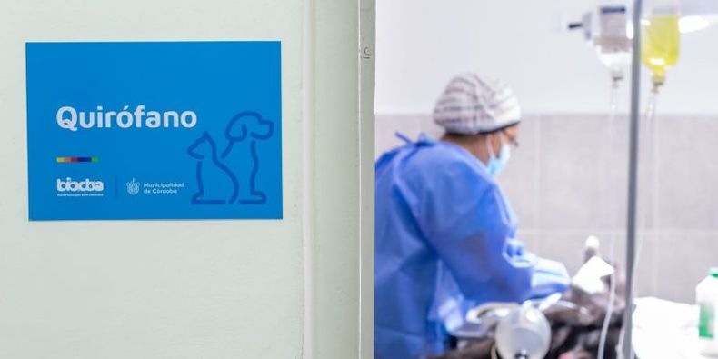 En el curso se abordarán técnicas de castración de caninos y felinos.