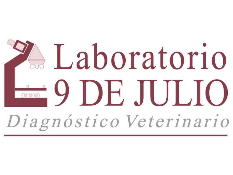 Lab 9 de julio.jpg
