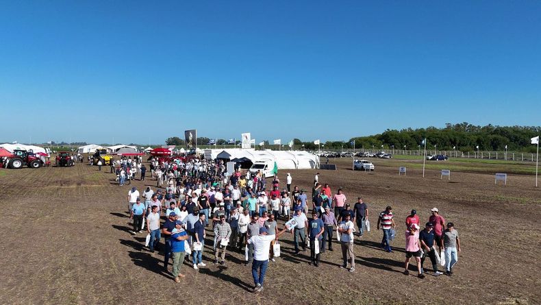 Más de 1.100 &nbsp;productores, organizados en grupos, recorrieron la muestra.