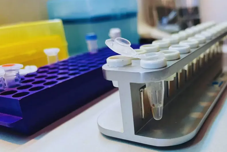 Esta investigación además proporcionará información para entender la biología, distribución y evolución del insecto.