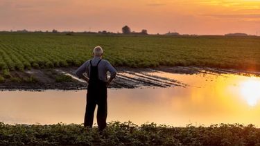 El clima invernal marcará el pulso de la producción y los cultivos.