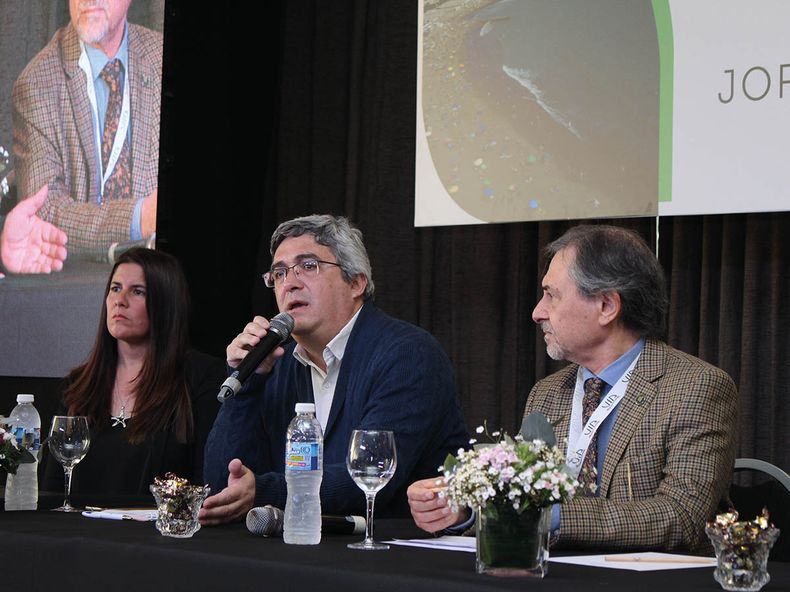 zooterapicos apoyo.jpg