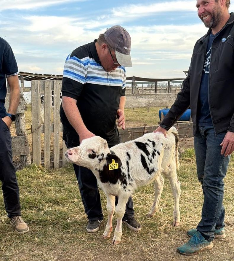 Bienestar, manejo y capacitación: la nueva generación de la lechería se construye a campo. Bienestar, manejo y capacitación: la nueva generación de la lechería se construye a campo.