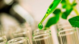 Empresas de nutrición animal están invirtiendo en formulaciones más estables y específicas. Empresas de nutrición animal están invirtiendo en formulaciones más estables y específicas.