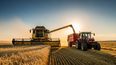 Avance de la cosecha de trigo 2025/26 por buen clima.
