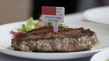 Foco en exportaciones de carne argentina y productos libres de deforestación.