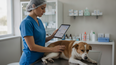 Plataforma digital para el diagnóstico veterinario y soporte profesional.