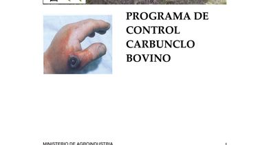 Motivar | Carbunclo.jpg