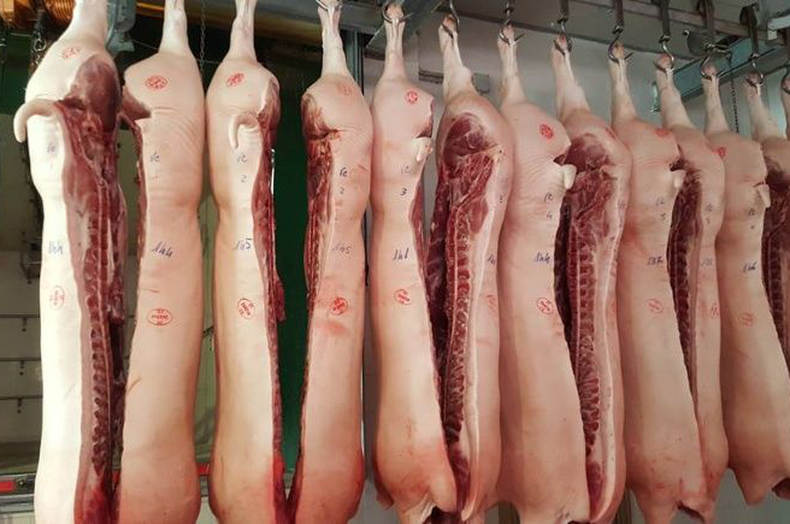 Prevenir la triquinosis depende de la incorporación de buenos hábitos tanto en la producción como en la compra y la cocción de alimentos.