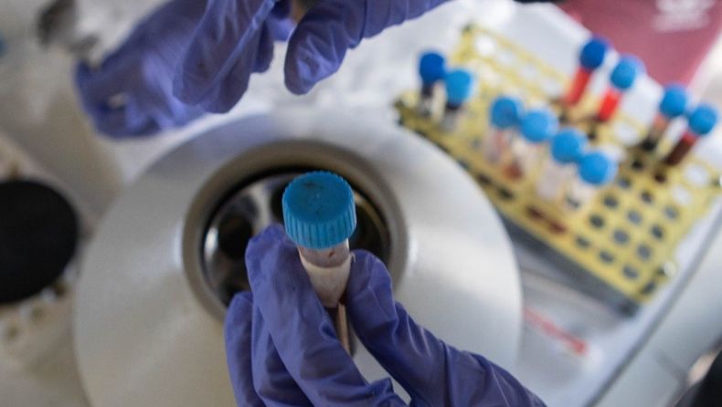 Elnuevo sistema digital de Senasa optimiza los diagnósticos en sanidad animal.