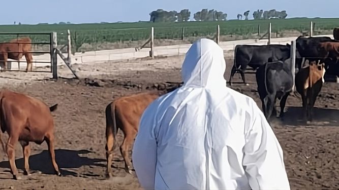 El brote de Carbunclo se detectó en el noreste de La Pampa, el cuarto en la zona.