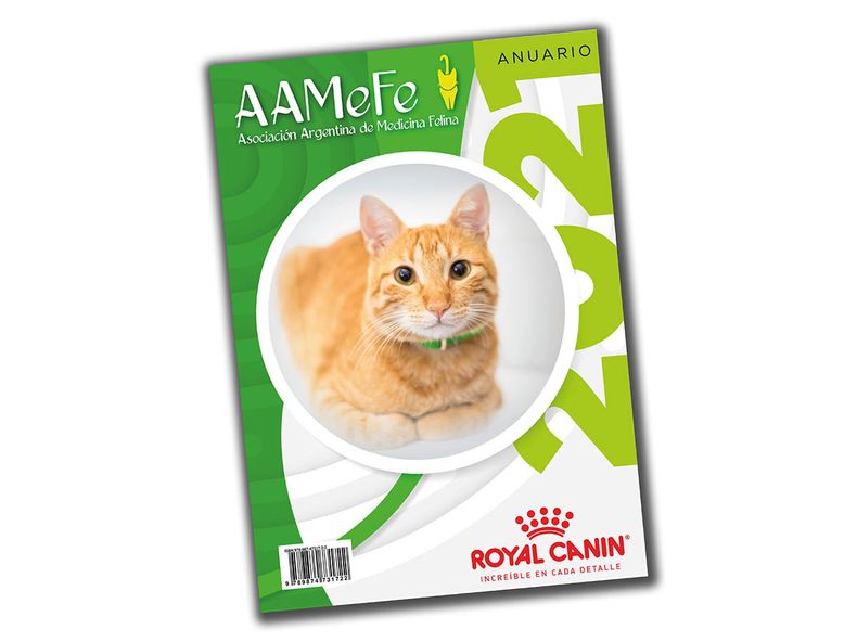 AAMeFe 2021.jpg