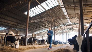 La industria lechera suma tecnología para mejorar su gestión y control productivo.