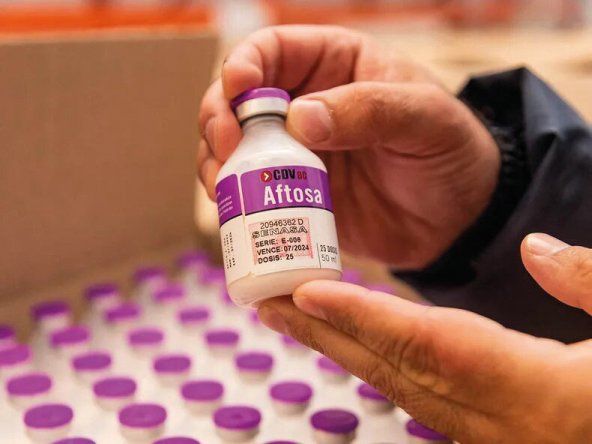 De la mano de su vacuna contra la fiebre aftosa, crecen las exportaciones de CDV.