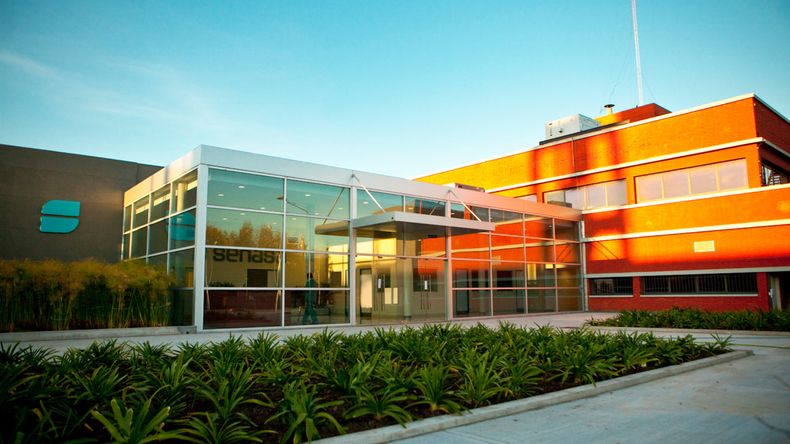 El Senasa deberá tomar una decisión respecto de la vacuna contra la fiebre aftosa.