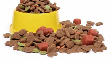 CAENA busca fortalecer los estándares de seguridad alimentaria en la cadena de producción de alimentos para animales.