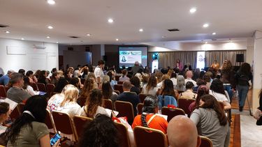 Animales de compañía. AAMEFE apuesta fuertemente a la especialización en medicina felina.