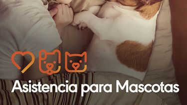 Motivar | Facu Mascotas.jpg