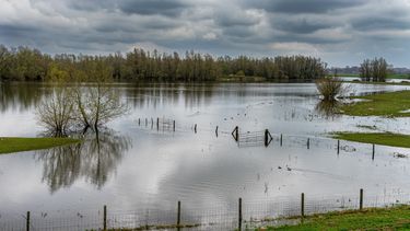 Millones de hectáreas del sector agropecuario son golpeadas por las inundaciones.