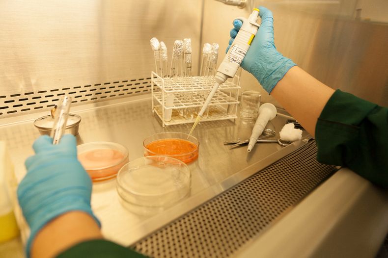 Esta modificación de Senasa del marco regulatorio permite desburocratizar procesos internos y reducir sustancialmente los plazos.