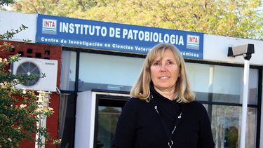 Motivar | Foto Bibiana Brihuega Inta Castelar.jpg