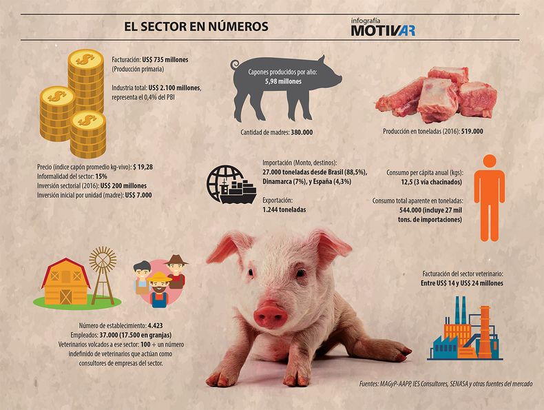 Infografia Porcinos ok.jpg