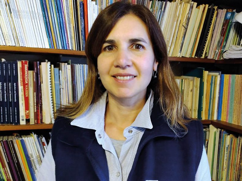 Paula Noseda Cerdos.jpg