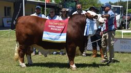 Genética animal: fomentan más inversión y productividad. Genética animal: fomentan más inversión y productividad.