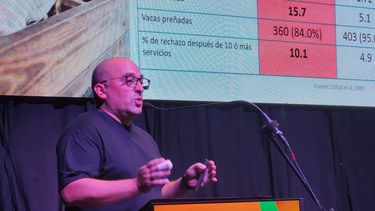 Dr. Enrique Pofcher, especialista en podología en bovinos.