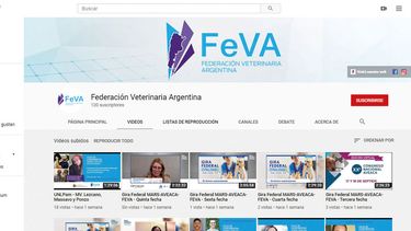 Motivar | FEVA youtube.jpg