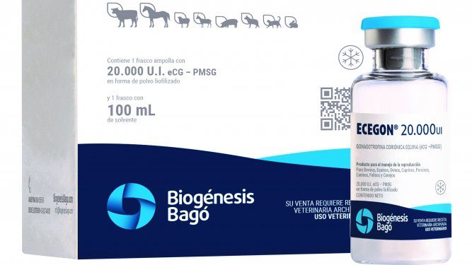 Biogénesis Bagó lanzó Ecegón 20.000 UI para la reproducción bovina,&nbsp; con un mayor beneficio en rodeos con alto porcentaje de vacas en anestro.