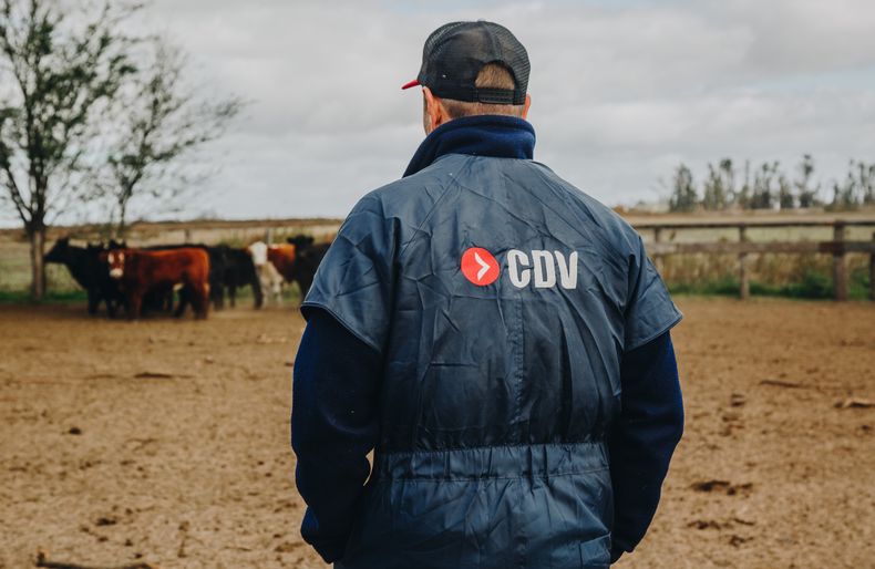 CDV invierte en Argentina, confía en su potencial y sigue apostando al crecimiento.