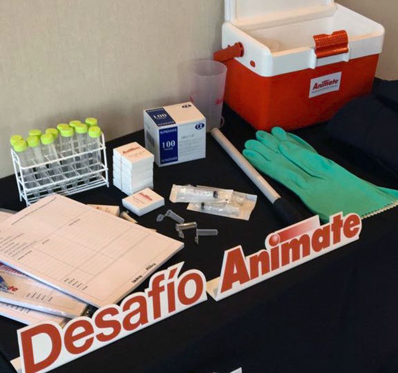 Desafio animate.jpg