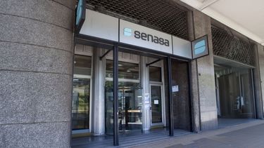 Senasa lanzó una batería de medidas para agilizar los tiempos de gestión.