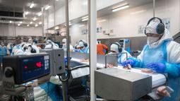 Exportaciones. Se recuperó un destino de alto valor para la avicultura nacional. Exportaciones. Se recuperó un destino de alto valor para la avicultura nacional.