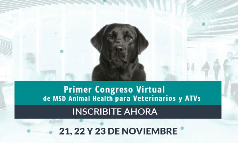 Encabezado Congreso perro.jpg