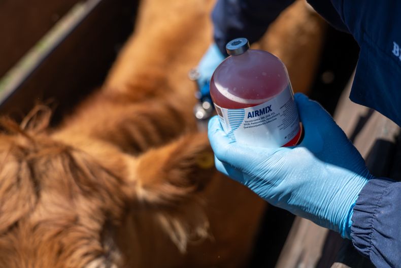 AIRMIX de Biochemiq ofrece protección contra enfermedades respiratorias y oculares.