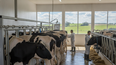 La lechería argentina, pilar de la alimentación y la economía, es valorada y promovida a través de proyectos educativos que impulsan su conocimiento.
