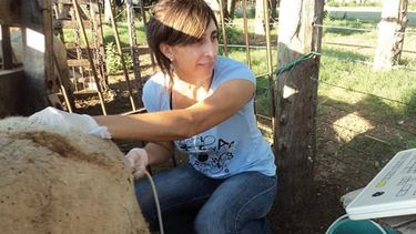 Motivar | Ovinos Isabel Vázquez.jpg