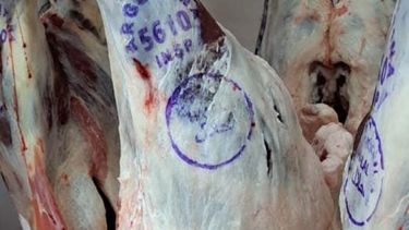 Nuevas exportaciones de carne ovina certificadas por Senasa.