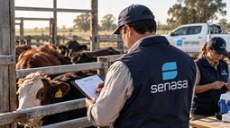 Senasa sigue actualizando normativas ligadas a distintas especies animales.