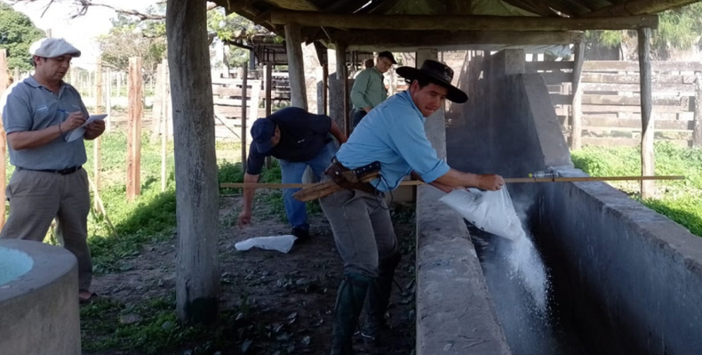 El manejo integrado de la garrapata bovina es un término ligado al concepto de Una Salud, que explica la interdependencia entre la salud humana, la sanidad animal y el ambiente.