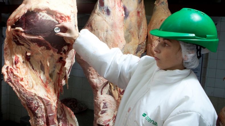 Senasa trabaja con los gobiernos provinciales para que todos llos frigoríficos argentinos operen bajo los mismos requisitos.