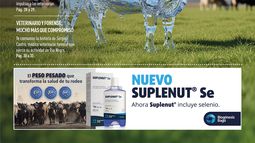 MOTIVAR N° 264 - Noviembre-diciembre 2025 MOTIVAR N° 264 - Noviembre-diciembre 2025