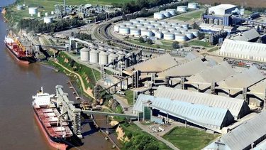 Las exportaciones de cultivos alcanzaron un nuevo máximo entre enero y mayo.